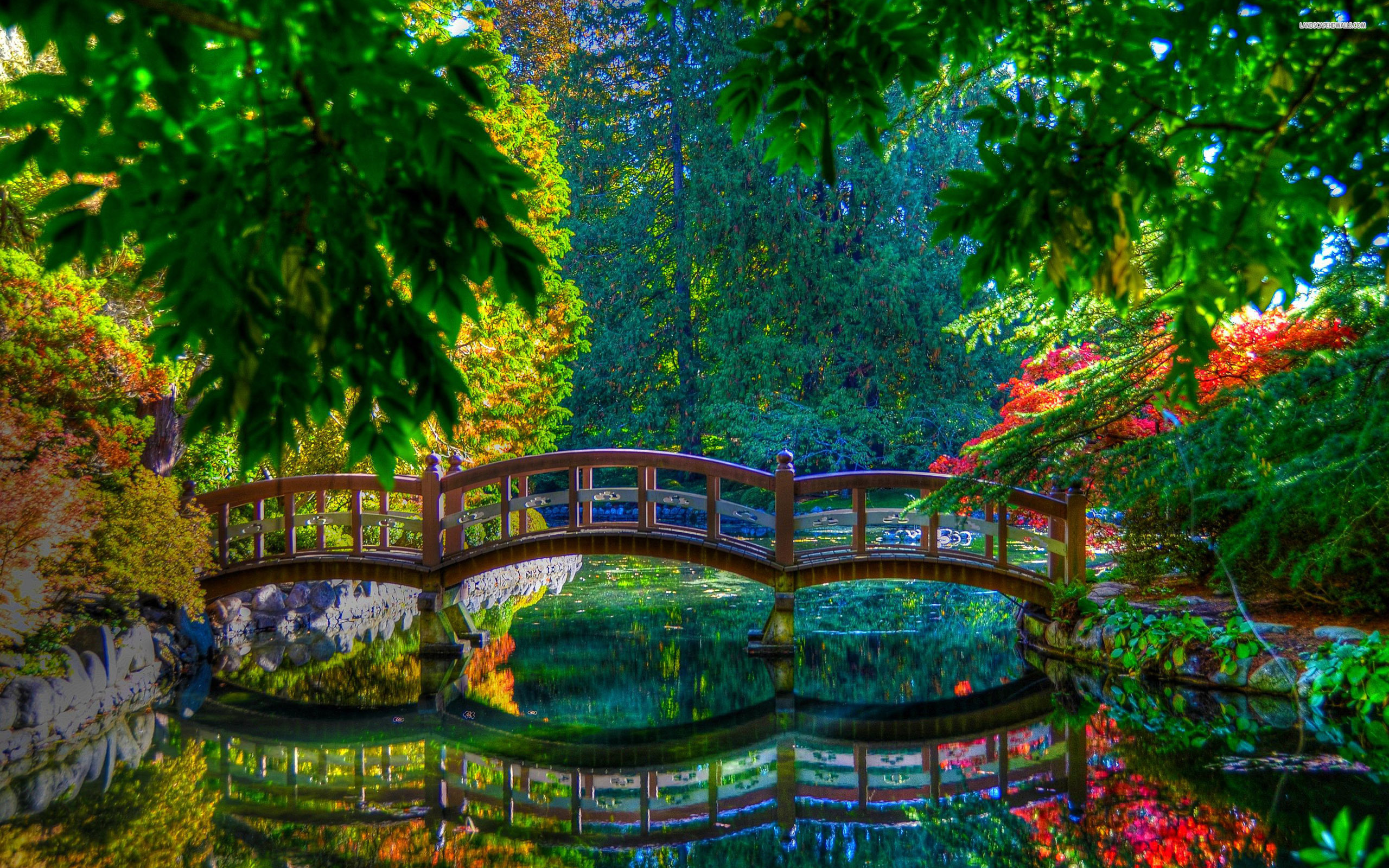 healing colors in trees and water - Levin and Chellen Chiropractic
